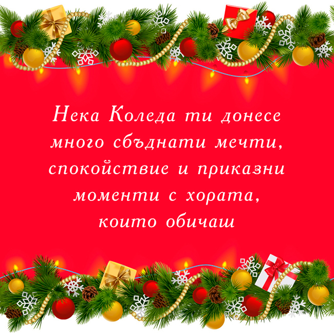 Нека Коледа ти донесе много сбъднати мечти, спокойствие и приказни моменти с хората,
които обичаш