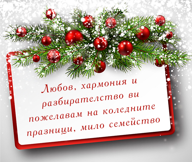Любов, хармония и разбирателство ви пожелавам на коледните празници, мило семейство