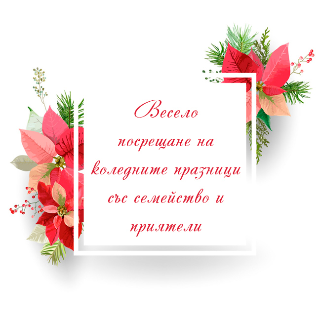 Весело посрещане на коледните празници със семейство и приятели