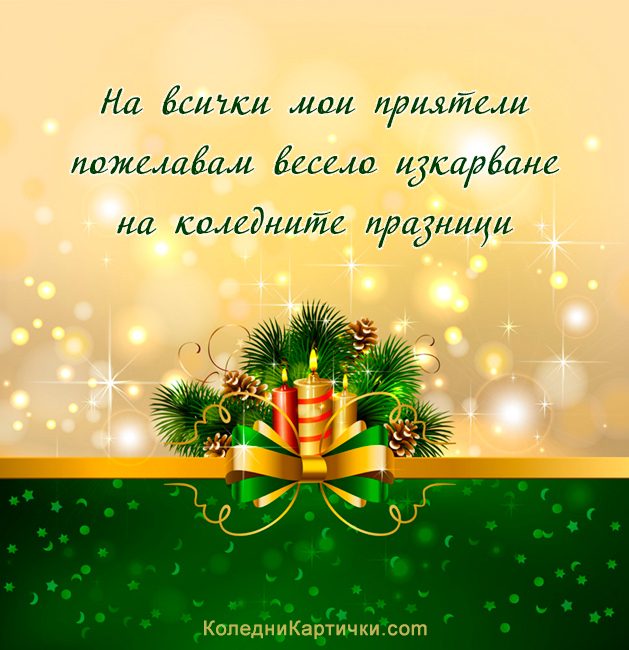 На всички мои приятели пожелавам весело изкарване на коледните празници