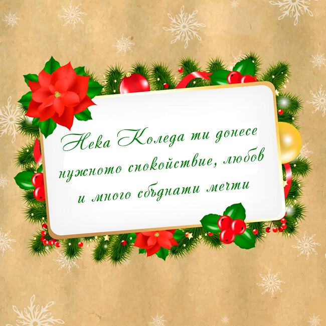 Нека Коледа ти донесе нужното спокойствие, любов и много сбъднати мечти