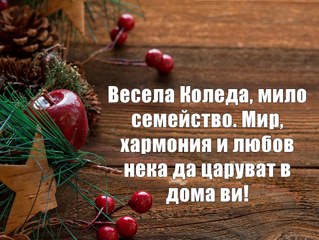 Весела Коледа, мило семейство. Мир, хармония и любов нека да царуват в дома ви!